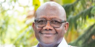 NPP needs Afoko to win election 2028 — Political Scientist