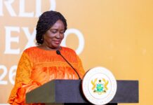 Government pushes for local processing, women’s ownership to transform shea industry