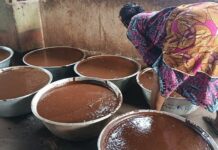 Beyond the Nut: How Ghana’s shea women are fighting for finance, trees and fair value