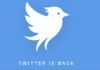 Twitter is back — but not under Elon Musk