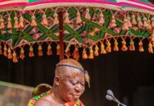 Beyond Akwasidae: Otumfuo’s historic visit to the US