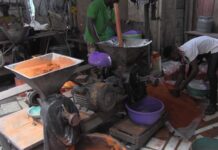FDA calls for laws to regulate corn milling operations in the country