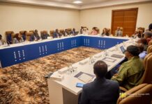 African ministers back Ghana’s call for continental AI cooperation