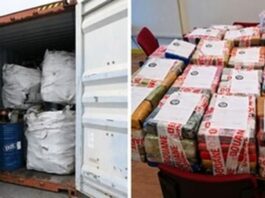 More arrests will be made in connection with the €225m France cocaine bust – NACOC
