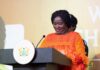 Veep Opoku-Agyemang calls for stronger ECOWAS action on climate change, displacement and insecurity