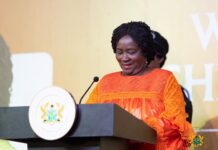 Veep Opoku-Agyemang calls for stronger ECOWAS action on climate change, displacement and insecurity