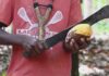 How an American rescued over 300 children from serving as labourers on cocoa farms in Eastern Region of Ghana