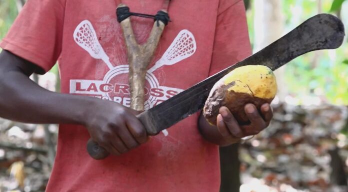How an American rescued over 300 children from serving as labourers on cocoa farms in Eastern Region of Ghana