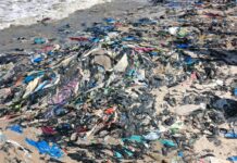 Plastic pollution is threatening Accra’s environment, livelihoods — Ga traditional leaders