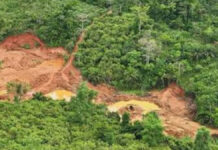 NAIMOS collaborating with state agencies to act on reported illegal mining in Atewa Forest – Spokesperson