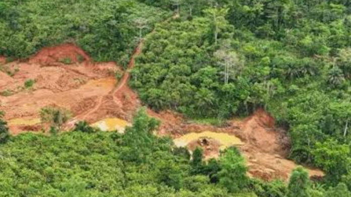 safeimagekit-ATEWA forest galamsey