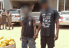 Dawhenya: Two arrested with 692 parcels of suspected Indian hemp