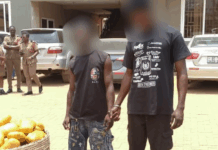 Dawhenya: Two arrested with 692 parcels of suspected Indian hemp