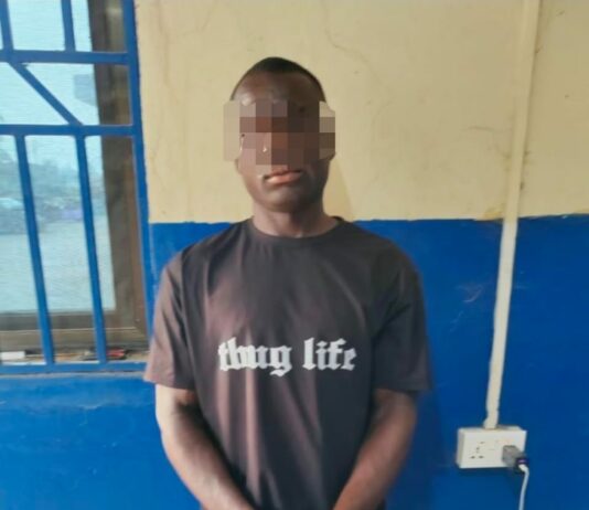 Police arrest man seen in viral video beating wife at Agona Nkwanta