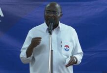 2028 Elections: NPP begins nationwide hunt for parliamentary candidates – Bawumia
