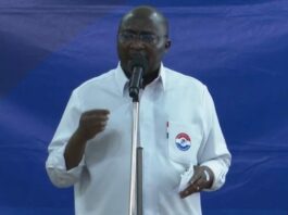 2028 Elections: NPP begins nationwide hunt for parliamentary candidates – Bawumia