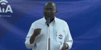 2028 Elections: NPP begins nationwide hunt for parliamentary candidates – Bawumia
