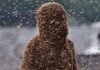 Bees invade Achiase, kill 81-year-old woman