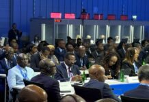BoG Governor urges IMF to boost support for Africa’s AI capabilities as Ghana courts investors in Thailand