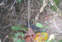 Pregnant woman shot dead after being mistaken for a deer