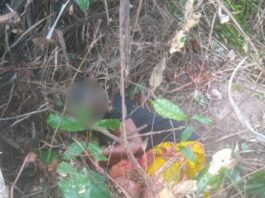 Pregnant woman shot dead after being mistaken for a deer