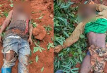 Two confirmed dead after galamsey pit collapses at Sefwi Datano