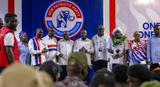 NPP national executives