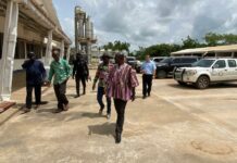 Upper East Minister leads Chinese investors to assess abandoned Pwalugu tomato factory