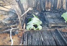 Western Region: 4 family members burnt to death at Apemanim No.2
