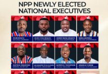 NPP Delegates Conference: Results of National Executive Elections NPP EXECUTIVES