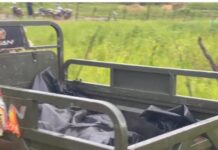 IGP deploys homicide investigators to Tamale following death of 3 siblings in a car