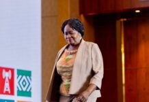 Veep Opoku-Agyemang pushes for a global financial system that does not deepen vulnerability
