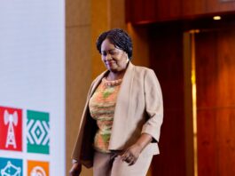Veep Opoku-Agyemang pushes for a global financial system that does not deepen vulnerability