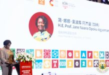 Global Climate policies must not ignore developing countries’ realities – Veep Opoku-Agyemang