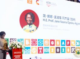 Global Climate policies must not ignore developing countries’ realities – Veep Opoku-Agyemang