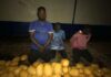 Police officers reject GHC50k bribe after arresting 4 suspects with 142 parcels of Indian hemp
