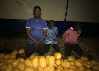 Police officers reject GHC50k bribe after arresting 4 suspects with 142 parcels of Indian hemp