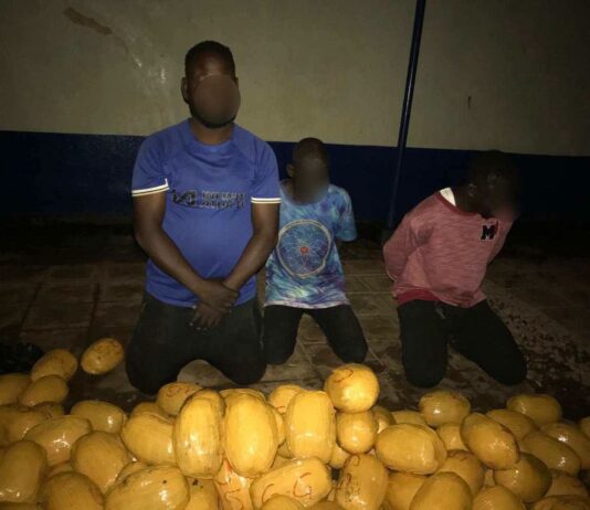 Police officers reject GHC50k bribe after arresting 4 suspects with 142 parcels of Indian hemp