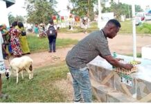 NDC Constituency Elections: Some members invoke curses at Atwima Kwanwoma over who qualifies as delegate