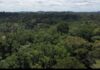 Galamsey Fight: Forestry Commission to deploy armed teams and surveillance technology in Subri Forest Reserve