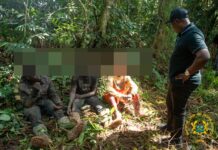 3 illegal miners arrested in Atewa Forest as NAIMOS launches Operation Green Shield