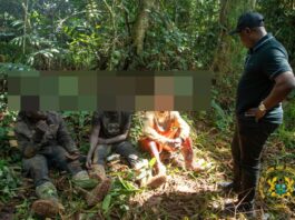 3 illegal miners arrested in Atewa Forest as NAIMOS launches Operation Green Shield