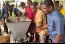 Apataim cassava farmers lament loss of land for rubber plantations
