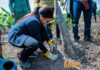 MIIF, Forestry Commission embark on 50-hectare forest restoration project in Sekyere Krobo