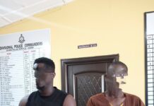 Alavanyo-Dzogbedze: Suspect arrested over death threats, illegal firearms; another apprehended over cannabis cultivation