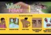 Upper West intensifies yellow fever vaccination as outbreak affects seven districts